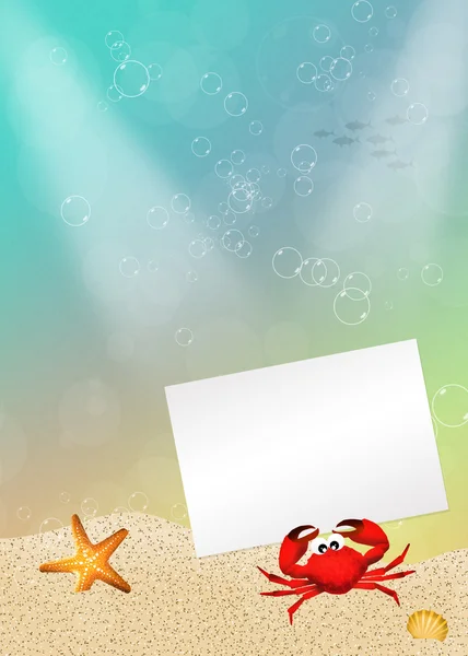 Crab with card — Stock Photo, Image