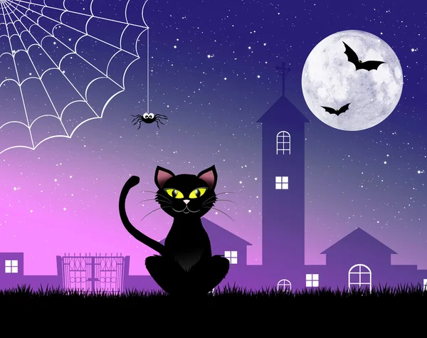 Чёрная кошка Хэллоуина — стоковое фото