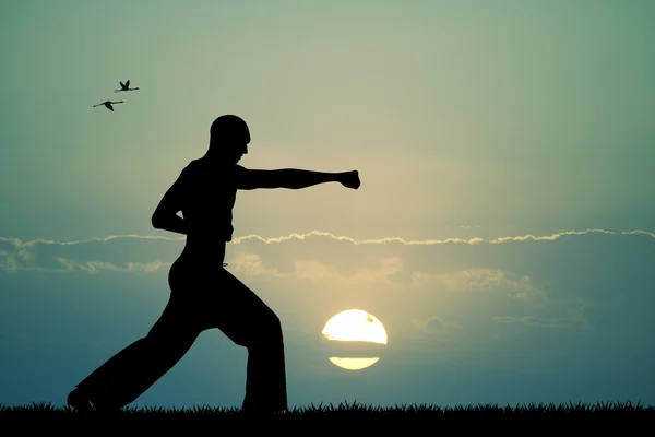 Judo at sunset — Stock Photo, Image