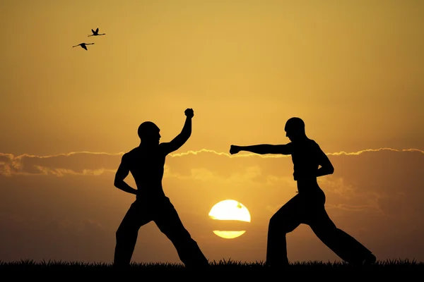 Judo vid solnedgången — Stockfoto