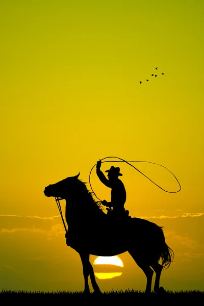 Cowboy com laço — Fotografia de Stock