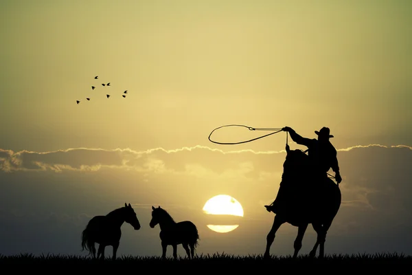 Cowboy avec lasso au coucher du soleil — Photo