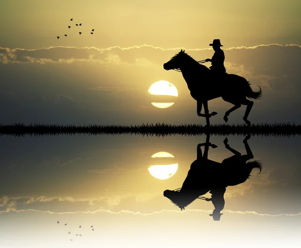 Cowboy med lasso i solnedgången — Stockfoto