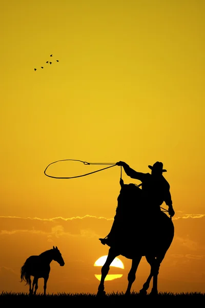 Rodeo cowboy — Stock Photo, Image