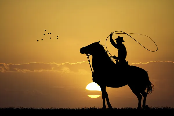 Cowboy rodeo — Foto Stock