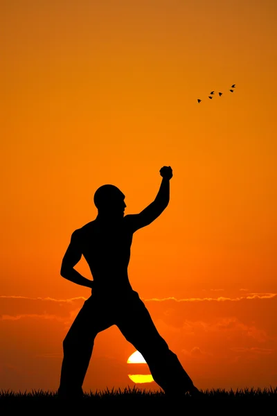 Judo bei Sonnenuntergang — Stockfoto