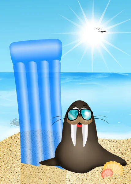 Sea lion on vacation — Stock Photo, Image