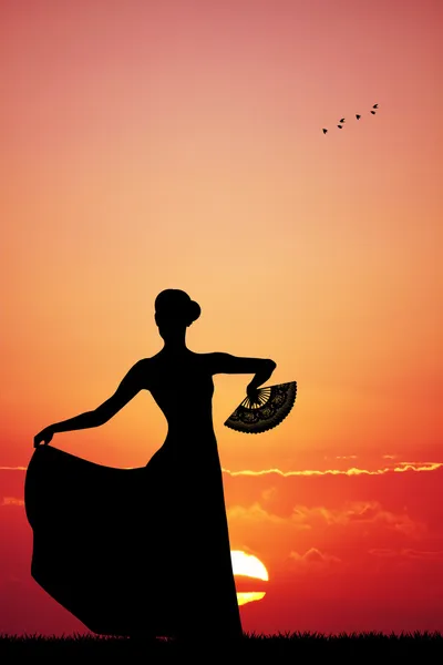 Flamenco na zachodzie słońca — Zdjęcie stockowe