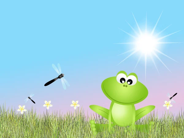Frog and dragonflies — Stock Photo, Image