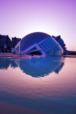 Sanat ve Bilim Şehri