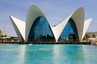 Oceanografic, Valencia
