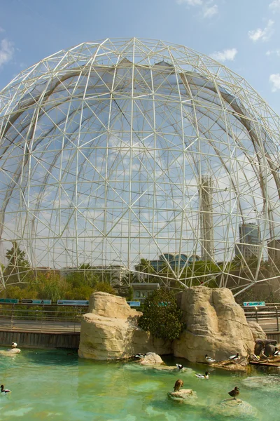 Oceanografic, Valencia — Stock Photo, Image