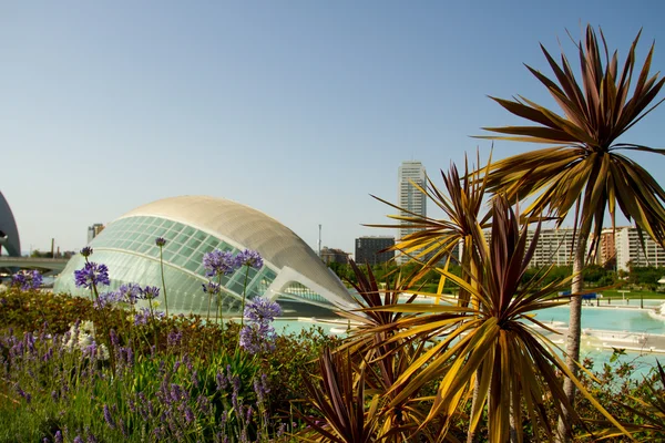 City of Arts and Sciences — Stock Photo, Image