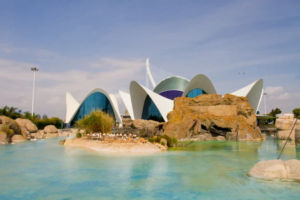 Oceanografic, Valencia — Stock Photo, Image