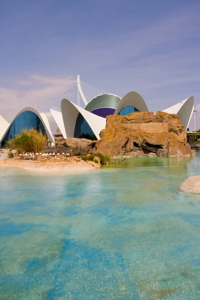 Oceanografico, Valencia — Foto Stock