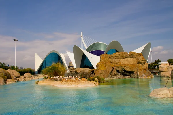 Oceanografic, Valencia — Stock Photo, Image