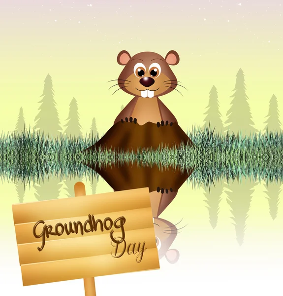 Groundhog-dagen — Stockfoto