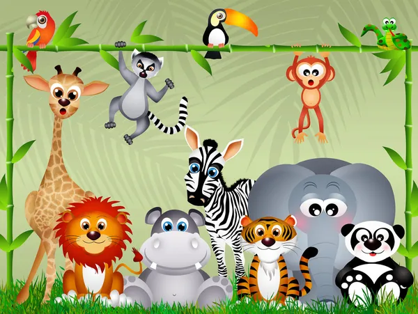 Jungle animals