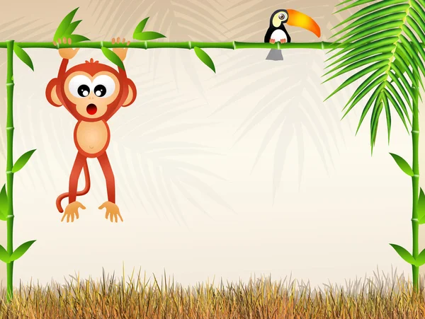 Monkey