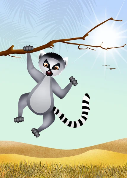 Lemur in African landscape — Stock Photo, Image