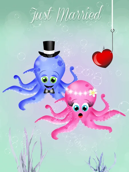 Oktopus verliebt — Stockfoto