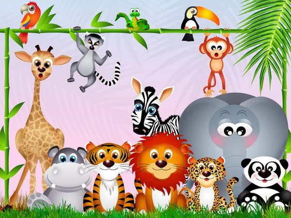 Jungle animals — Stock Photo, Image