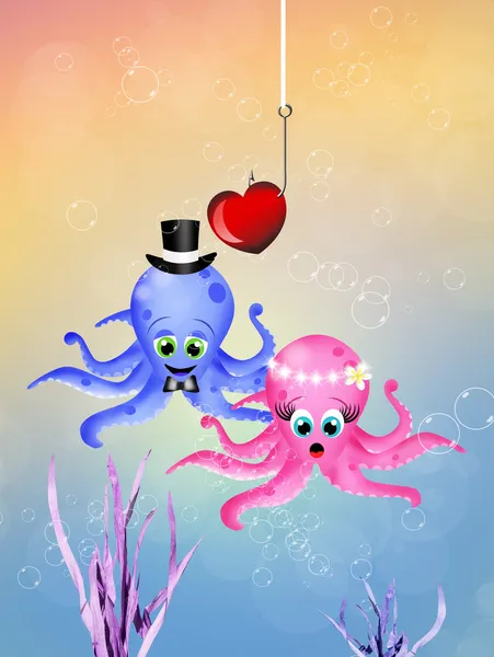 Wedding of octopus — Stock Photo, Image