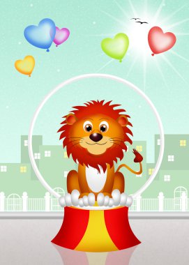 Aslan ın circo