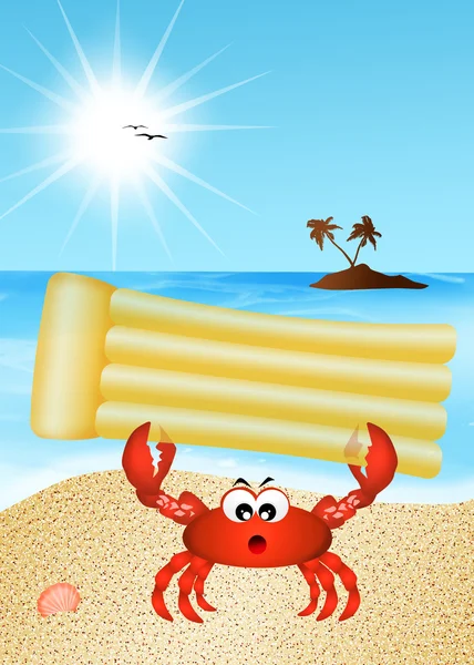 Krab op het strand — Stockfoto