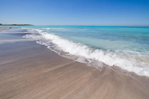 White beach — Stock Photo, Image