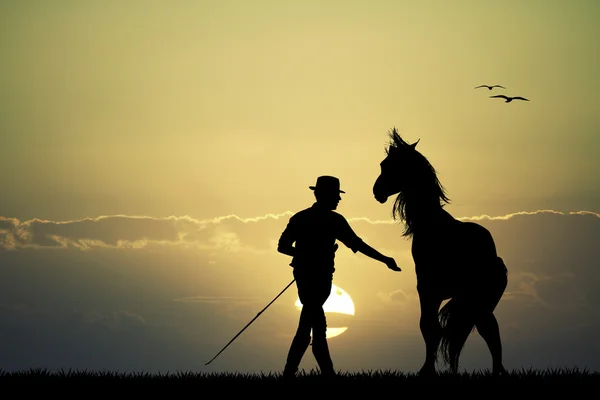 Mann und Pferd bei Sonnenuntergang — Stockfoto