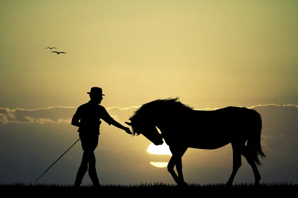 Mann und Pferd bei Sonnenuntergang — Stockfoto