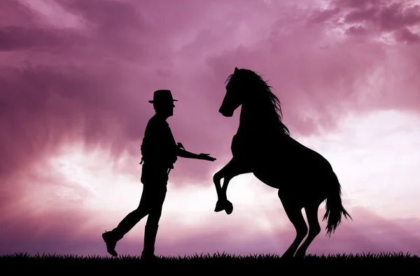 Homem e cavalo ao pôr-do-sol — Fotografia de Stock