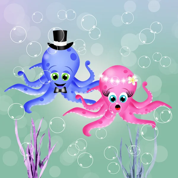 Octopus in liefde — Stockfoto