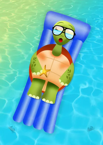 Schildkröte im Urlaub — Stockfoto