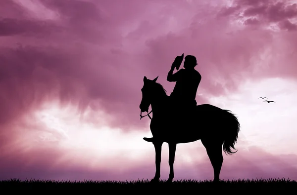 Cowboy on horse — Stock Photo, Image