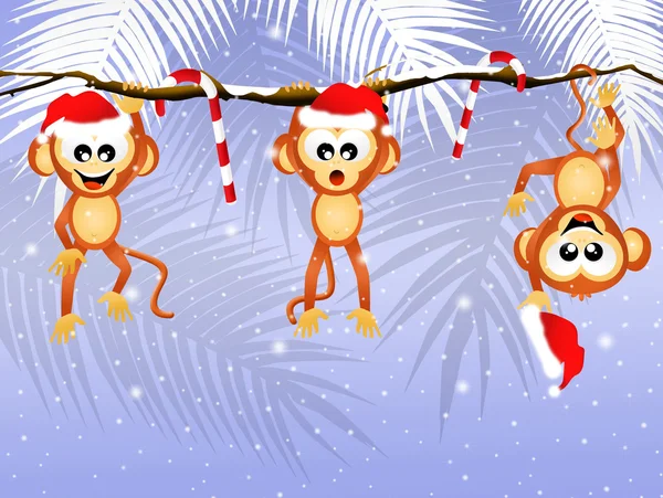 Majmok karácsonykor — Stock Fotó