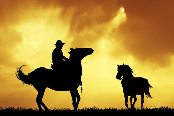 Cowboy rodeo — Foto Stock