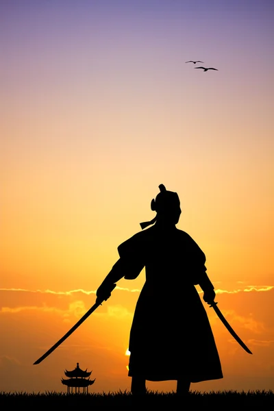 Samurai silhouette — Stock Photo, Image