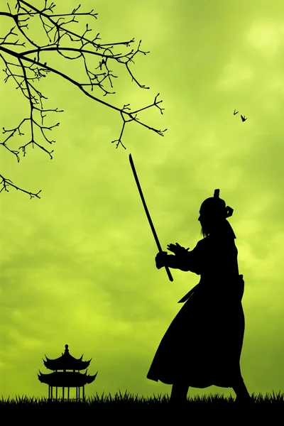 Sylwetka samuraj — Zdjęcie stockowe