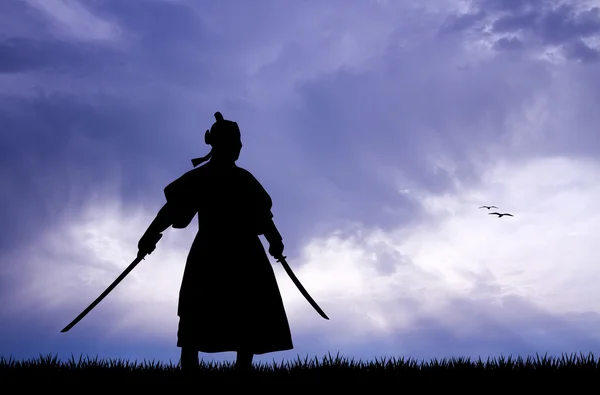 Samurai with sword — Stock Photo, Image