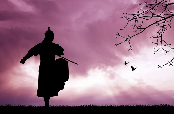 Samurai bij zonsondergang — Stockfoto