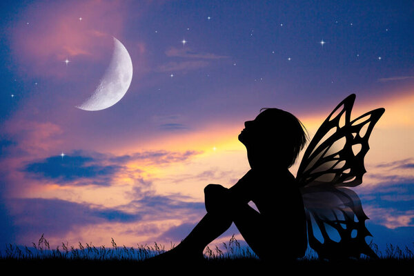 Little Girl Fairy Wings Royalty Free Stock Images