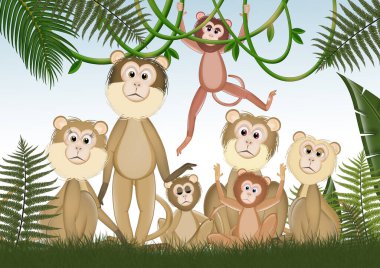 Tropikal ormanlarda yaşayan maymun ailesinin bir örneği.