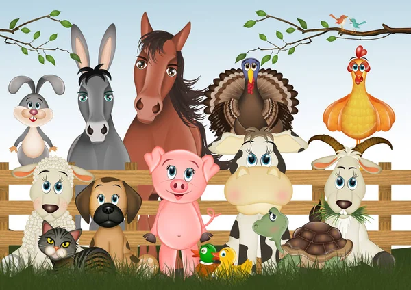 Illustration Farm Animals — Stock Photo, Image