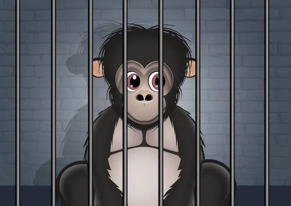 illustration of gorilla in the zoo cage