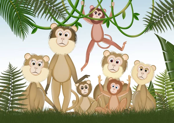 Tropikal ormanlarda yaşayan maymun ailesinin bir örneği.