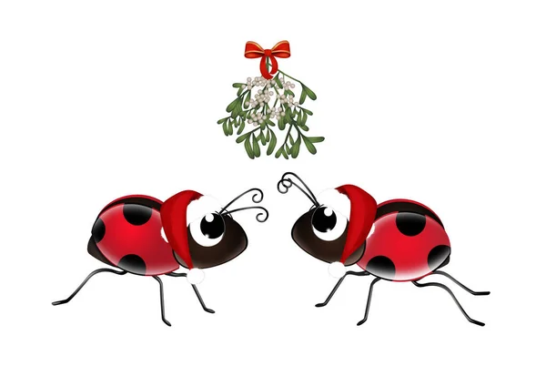 Ladybugs Kiss Mistletoe — Photo