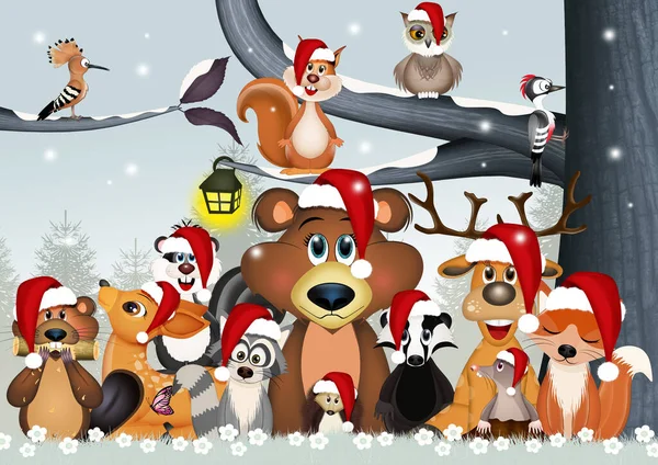 Illustration Funny Woods Animals Christmas — Stock Fotó