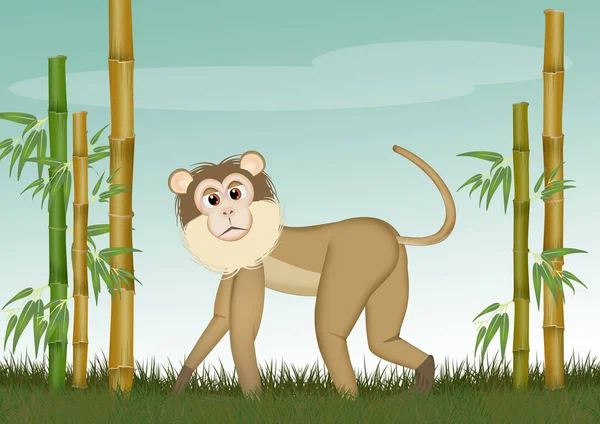 Singe Macaque Dans Jungle Illustration — Photo